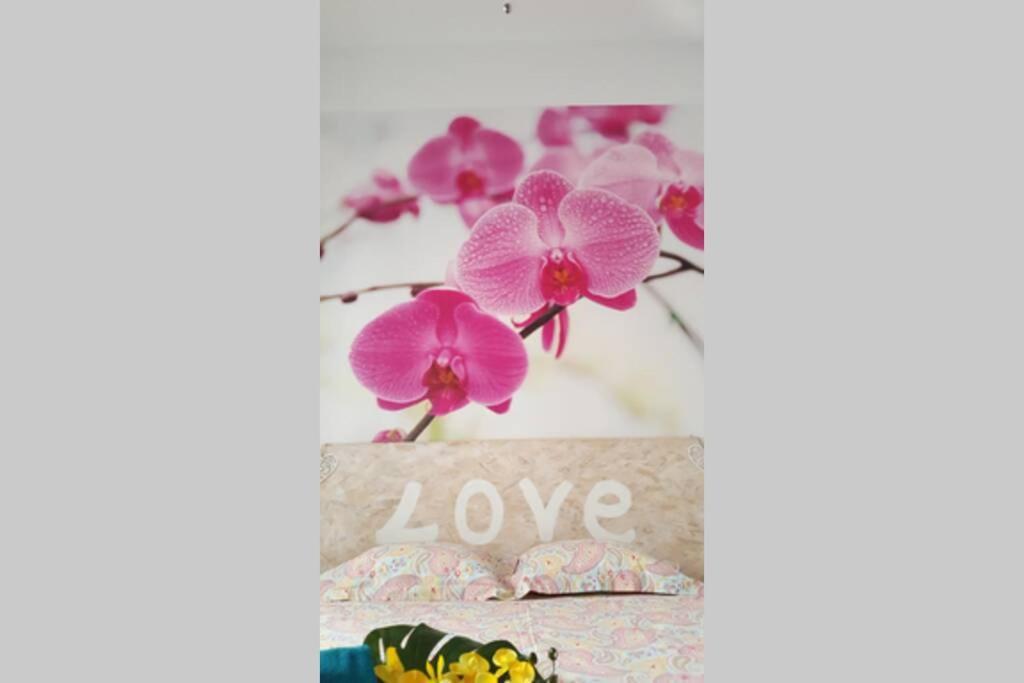 Suite Jinetes มาลากา ภายนอก รูปภาพ